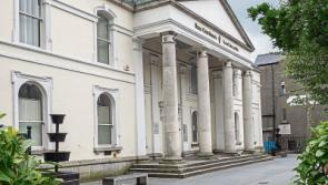 Racehorse trainer allegedly neglected horse which had to be put down