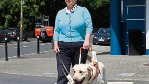 Public urged to keep guide dog owners in mind at Hallowe'en