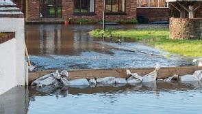 Project to tackle flooding near Naas will be completed in 2024