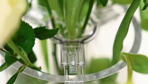 Interiors: Introducing the ‘Innervase’, a Kildare invention to dramatically change your flower arrangements
