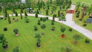 Gardening with Jo: Staying true to our roots