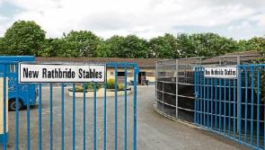 Kildare Property Watch: Stables and land at the heart of the Curragh on market