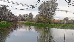 Concern over canal water volumes in Naas