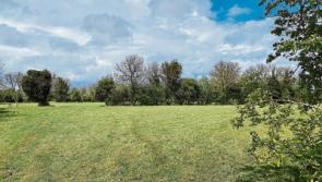 Kildare Property: Caragh land sells for €22,000 per acre