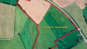 Property Watch: Thirty-two acres of land at edge of Geashill village up for auction