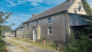 Property Watch: 48 acre Carlow residential farm with bags of potential up for sale