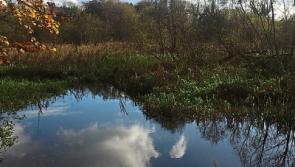 No end in sight to long awaited opening of Kildare parkland site 