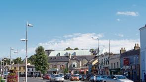 KILDARE: Call for fanzone in Naas for Ireland's Rugby World Cup games