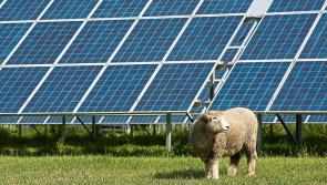 LATEST: Kildare planners block massive solar farm proposal 