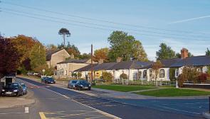 Man with 94 previous convictions targets car in Kildare estate 