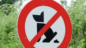 Kildare should stage art competition to find a new anti dog fouling poster