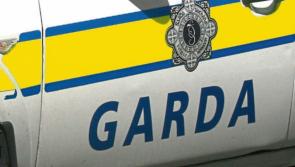 Gardaí in Celbridge launch investigation after jewellery and cash stolen from home