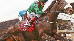 Can Cracksman conquer this Saturday's Irish Derby?
