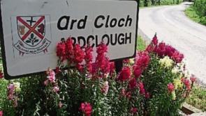 KILDARE: Weight restriction needed on canal bridge