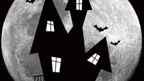 'Sallins Got Spooked' talent competition taking place this Saturday 