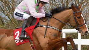 Faugheen validates the punters' choice as favourite