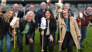Massive charity venture to take place alongside Taste of Kildare festival