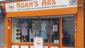 Big Kildare Interview: Animal charity discusses its most unusual donations