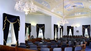 Seanad Éireann supports the extension of the short hop zone, Kildare Senator says