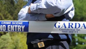 Body discovered in burnt out car in Lucan yesterday evening 