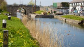 Bike repair shops needed for Kildare canal banks