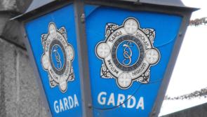 Gardaí carry out €1 million raids on Drogheda criminals and seize drugs and ammo in Tallaght