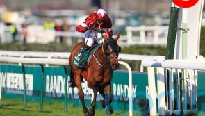 Tiger Roll aiming for another Grand National win this spring