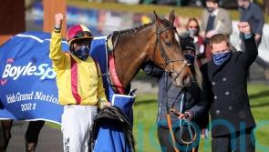 Irish champion Freewheelin Dylan on road to Aintree after 'ideal' weight allocation