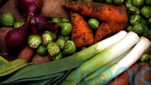 Vegetarians less likely to develop cancer compared to meat-eaters, says large UK study
