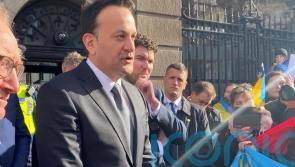 No major concerns of pro-Putin agents among refugees from Ukraine - Tánaiste