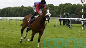 Queen&rsquo;s horse King&rsquo;s Lynn will not run at the Curragh