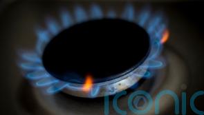 Households with better energy ratings ‘consumed less gas and electricity’