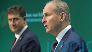 ‘No time to lose’ on sustainable development goals, says Micheal Martin