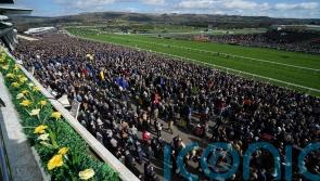 RACING: Cheltenham Festival to continue as four-day event