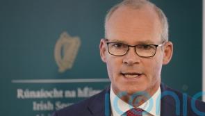 No decision yet on election in Northern Ireland, says Coveney