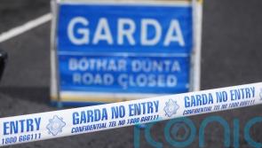 Man killed as car hits stray horse