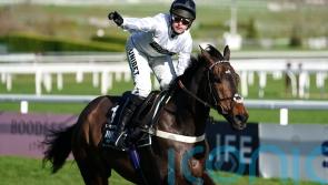 Constitution Hill tops 11 contenders to win Aintree Hurdle prize