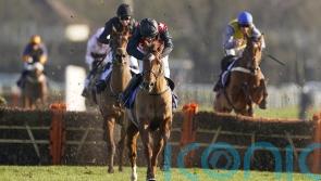 Shark Hanlon trained Cape Gentleman set to enjoy happy retirement in America