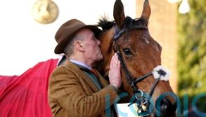 Bravemansgame given green light for Punchestown