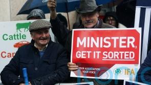 IFA says Varadkar will invite EU Commissioner to Ireland over nitrates cut