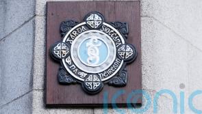 Government urged to intervene in Garda roster dispute