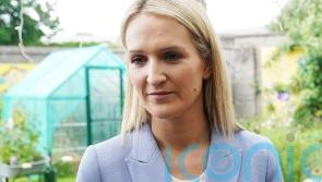 Number of people arriving in Ireland without documents down by a third – McEntee