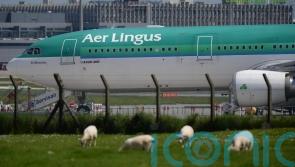 Aer Lingus forced to cancel 76 additional flights as pay row rumbles on
