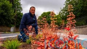 Carlow town cleans up at European competition for environmental excellence