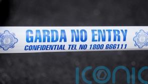 Gardai launch people smuggling probe after two men discovered hiding in van