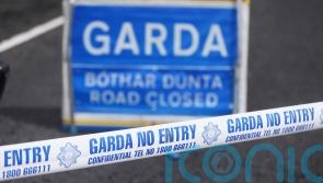 Man dies in road crash in Co Cork