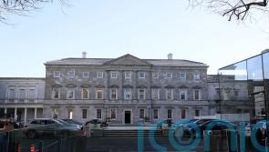 Social Democrats want to include suspended TD for committee formation