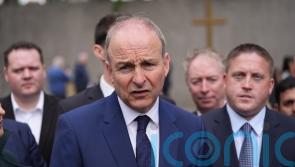 Taoiseach criticises Dublin protesters and ‘narrow nationalism’
