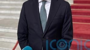 Irish deputy premier to include services from Israeli settlements in trade ban