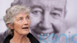 Connolly campaign clip that featured Higgins amended